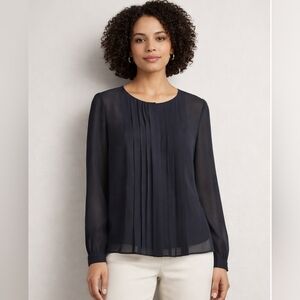 Ann Taylor LOFT Black Sheer Pleated Blouse | Small